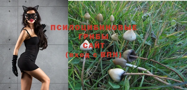 бутират Покровск